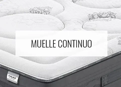 Muelle continuo