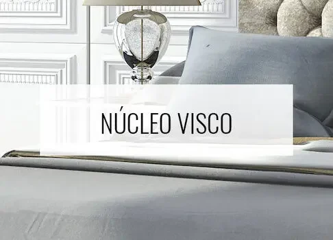 Núcleo Visco